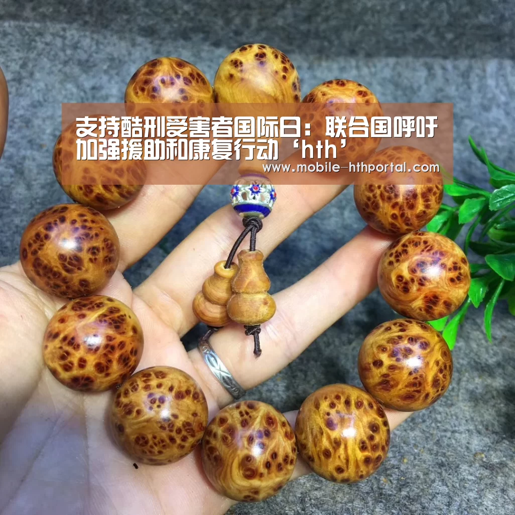华体会官网