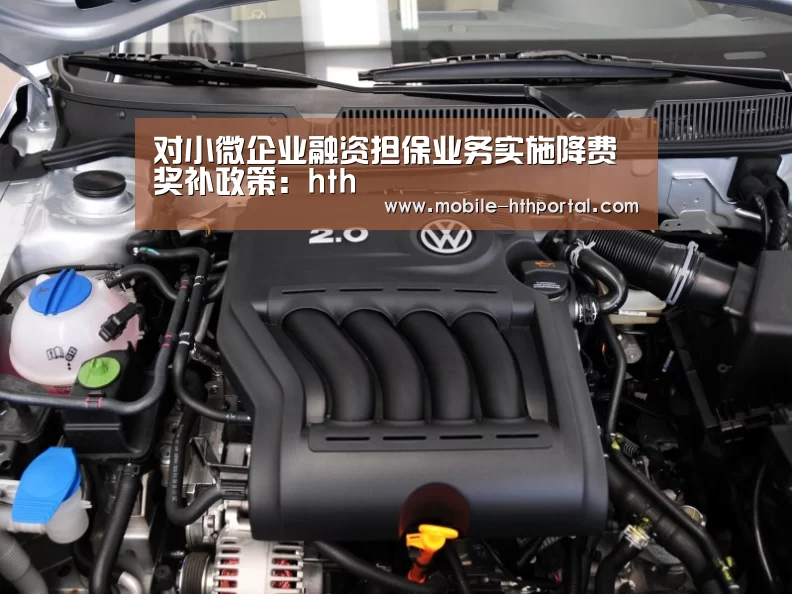 对小微企业融资担保业务实施降费奖补政策：hth(图3)