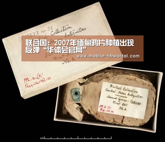 联合国:2007年缅甸鸦片种植出现反弹“华体会官网”(图4) 华体会官网