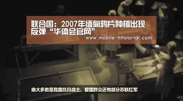 联合国:2007年缅甸鸦片种植出现反弹“华体会官网”(图2) 华体会