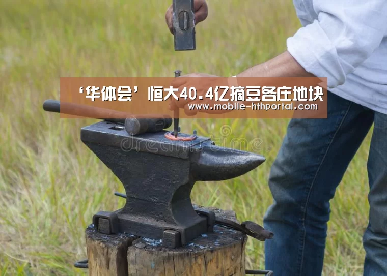 ‘华体会’恒大40.4亿摘豆各庄地块(图2) ‘华体会’恒大40.4亿摘豆各庄地块(图2)