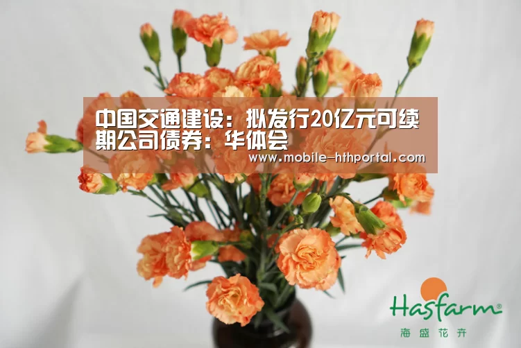 华体会下载