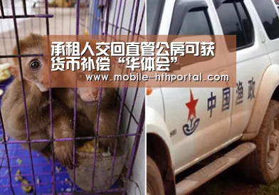 承租人交回直管公房可获货币补偿“华体会”(图2)
