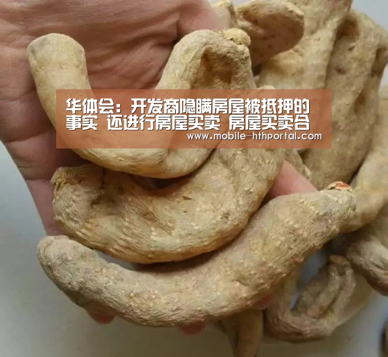 华体会下载