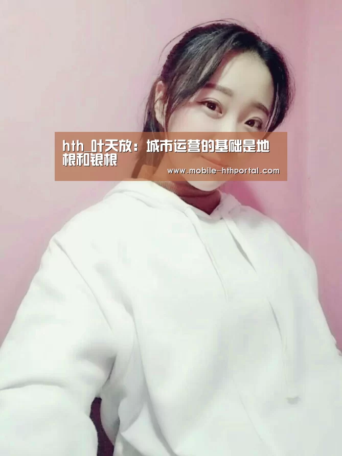 hth_叶天放：城市运营的基础是地根和银根(图2)