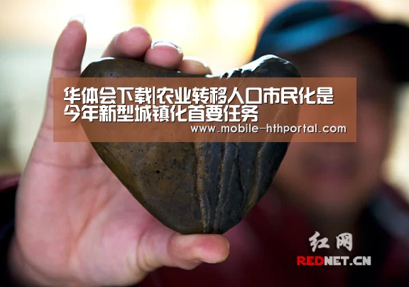 华体会下载|农业转移人口市民化是今年新型城镇化首要任务(图2) 华体会下载