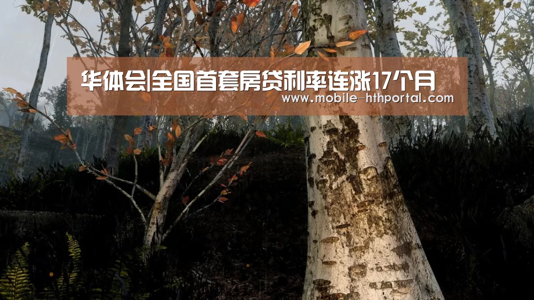 华体会下载